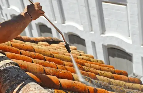 Nettoyage de toitures - Écueillé